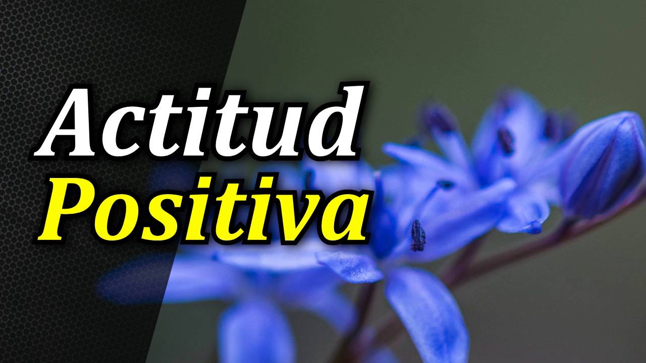 Transforma tu presente: Aprende a cultivar una mentalidad positiva en ...